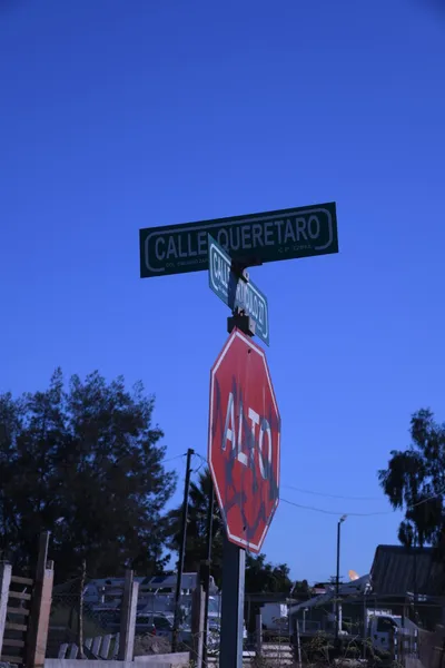 DSC_1908 (Large).JPG